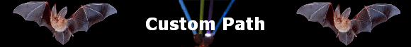 Custom Path