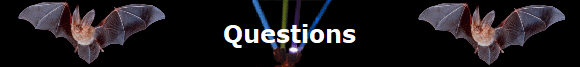 Questions